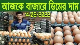 আজকের বাজারে ডিমের দাম কত জানুন 14/09/2022 dimer dam! Egg price in Bangladesh Today! ajker bazar dor