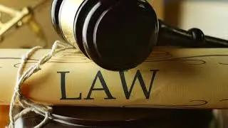 What is Freedom of Contract
