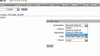 CRM Implementation User Roles & Access