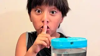 Hatching Sea Monkeys Part 3