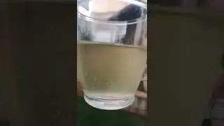 Kombucha de cannabis no psicoactivo