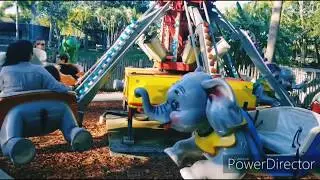 Palm Beach Lion Safari Trip January 2020