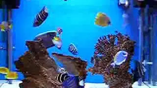 15 Mar 2006