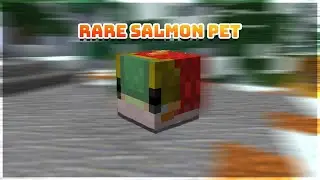Catching 15,000 Fish for 1 Salmon Pet! (Hypixel Lobby Fishing)