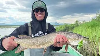 Alaska Pike Fishing