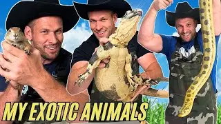 Cute or DANGEROUS? The Reality of Exotic Animal Life