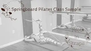 Springboard Pilates Class Sample: Feet in Straps Series