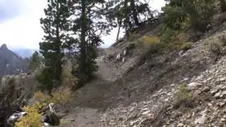 Mt. Charleston Spring Mountains Rain Tree 2 (down) with Tyrolean Team Oct. 11 13