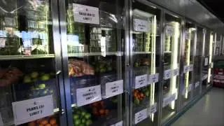 Nourish Our Community - Project Open Hand