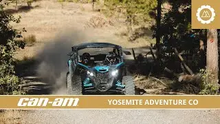 Hop on a Can-am through the calm forest of Yosemite National Park, CA - Yosemite Adventure Co.