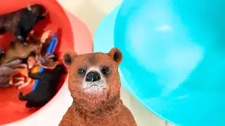 12 Wild Animals for Kids | Learn Animal Names & Colors with toys