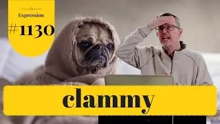 Learn English: Daily Easy English 1130: clammy
