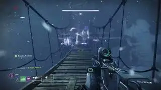 Screebs Gone Wild Destiny 2