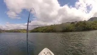 Backtrolling for King Salmon Gentlemen's Release Hobie Kayak