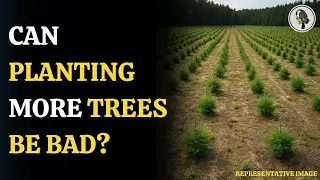 Tree Planting for Net Zero Risks Food Security | WION Podcast