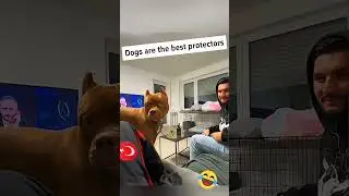 Overprotective Partner