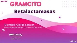 Betalactamasas