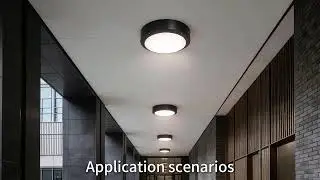 LED Wall Bulkhead Light | Durable Surface Lighting for Outdoor & Indoor Use
