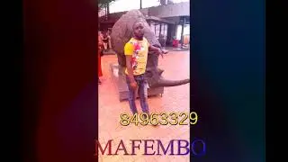 Mafembo  vakwine vaptele