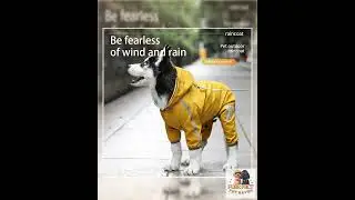 Waterproof Dog Raincoat with Hood - Reflective Rain Jacket for Small Medium Dogs