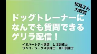 なんでも答えるゲリラ配信、第一弾！イヌバーシティ、ワンコ・ワークスの訓練士になんでも質問してみよう！