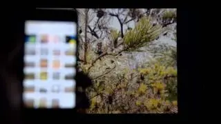 How to View iPhone Photos on the Chromecast for Free