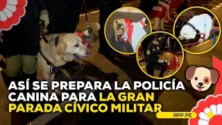 Policía canina se prepara para la Gran Parada y Desfile Cívico Militar #NuestraTierraCelebra