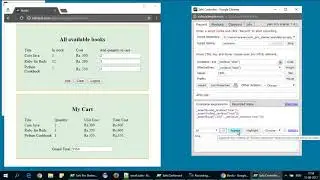 Sahi Pro Starter Introduction