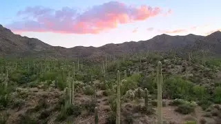 Sonoran Desert drone video near Tucson, Arizona