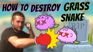 HOW TO BEAT GRASS SNAKE POISON | AXIE INFINITY