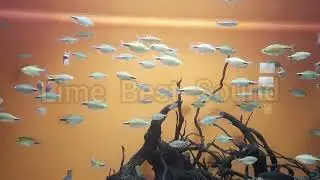 Best rap backing track for beats for diss in hip-hop style 85 bpm underground street
