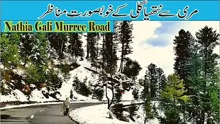 Murree to Nathia Gali Road Trip | Beautiful Nathiya Gali |  murree snowfall