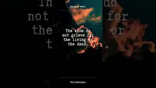 I Am Time, Destroyer of Worlds &ndash; Krishna&rsquo;s Awakening Message