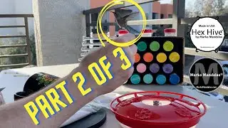Part 2 of 3: How To Prepare, Paint & Seal Hand Painted Coffee Mug DIY -  Painting with Hummingbirds
