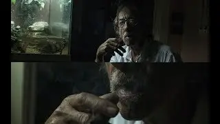 Videocrazia low light