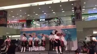 Orbis 2016 sarasate gypsy air