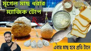 নদী বা টিকিট পুকুরে মৃগেল মাছ ধরুন প্রতি টোপে ✅ fishing video| fishing bait| hook fishing
