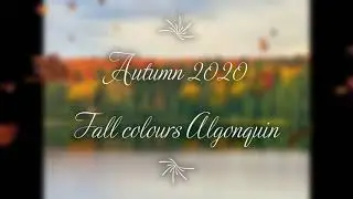 Autumn 2020 - Algonquin Park Fall in Algonquin provincial Park 🍂