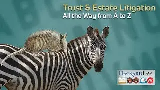 Trust & Estate Litigation | From A to Z