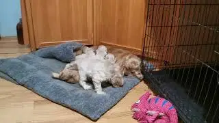 Чужих мам не бывает ♥️ 