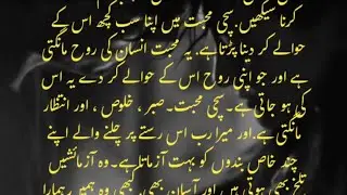Dil E Sultan 😎😍 | Episode 48 | Intense Love 💞 | Bold Romantic Novel | Gangster Hero 