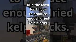 🌿 Ultimate Kelp Farm Tutorial for Minecraft 1.21 - Build & Optimize!