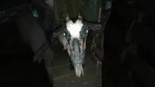 Big Goat Thinking 🤔|| Very funny 🤣||