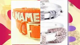 Cute Dog Collar for Summer
