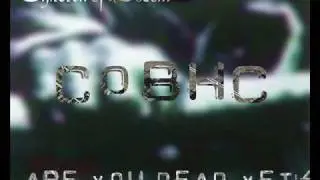 We're Not Gonna Fall vocal cover (doompod)