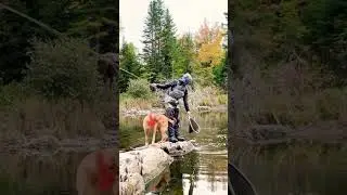 Reeling in the Native Brook Trout #maineoutdoors #fishing  #nature #flyfishing