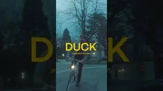 ⚡️New Song &laquo;DUCK (Forever for a Day)&raquo; out today ❤️@toericht  @Mouthwateringrec  #redflags # icks