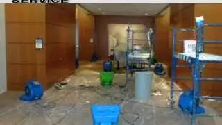 house mold WEST STOCKBRIDGE MA 01266   Professionals