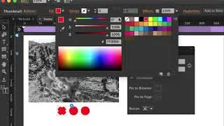 Adobe Muse: Slide show – dots instead of thumbnails