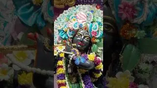 🌸Today&rsquo;s Special Darshan 27th Aug 2025 🌸Sri Sri Radha Madhava Mandir ISKCON Attapur #iskcon #darshan